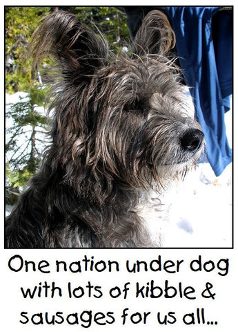 One Nation Under Dog