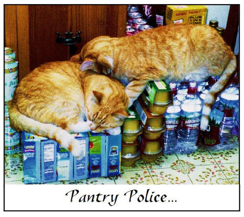 Pantry Police