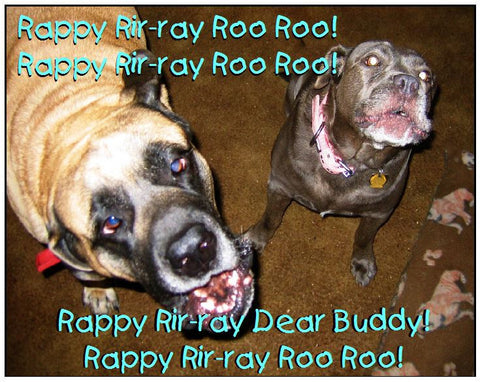 Rappy Rir-Ray Ro Roo!