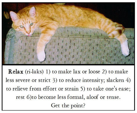 Relax Cat