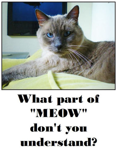 What Part of Meow