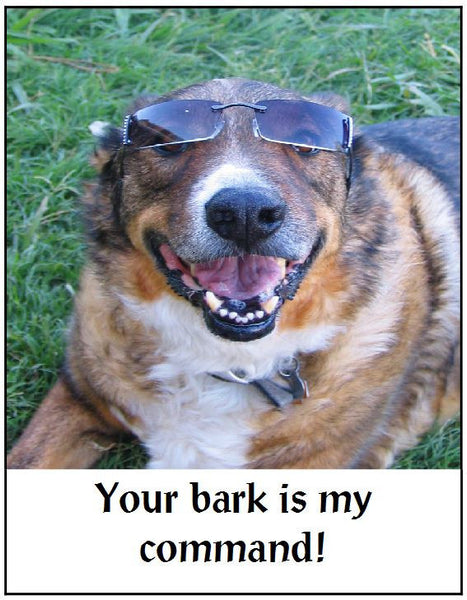 Bark on command on sale