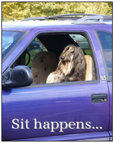 Sit Happens...