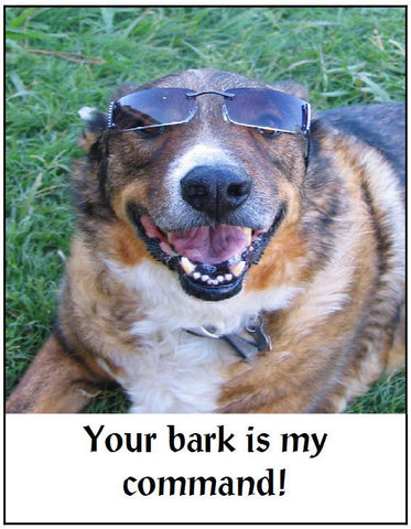 Your Bark Is My Command